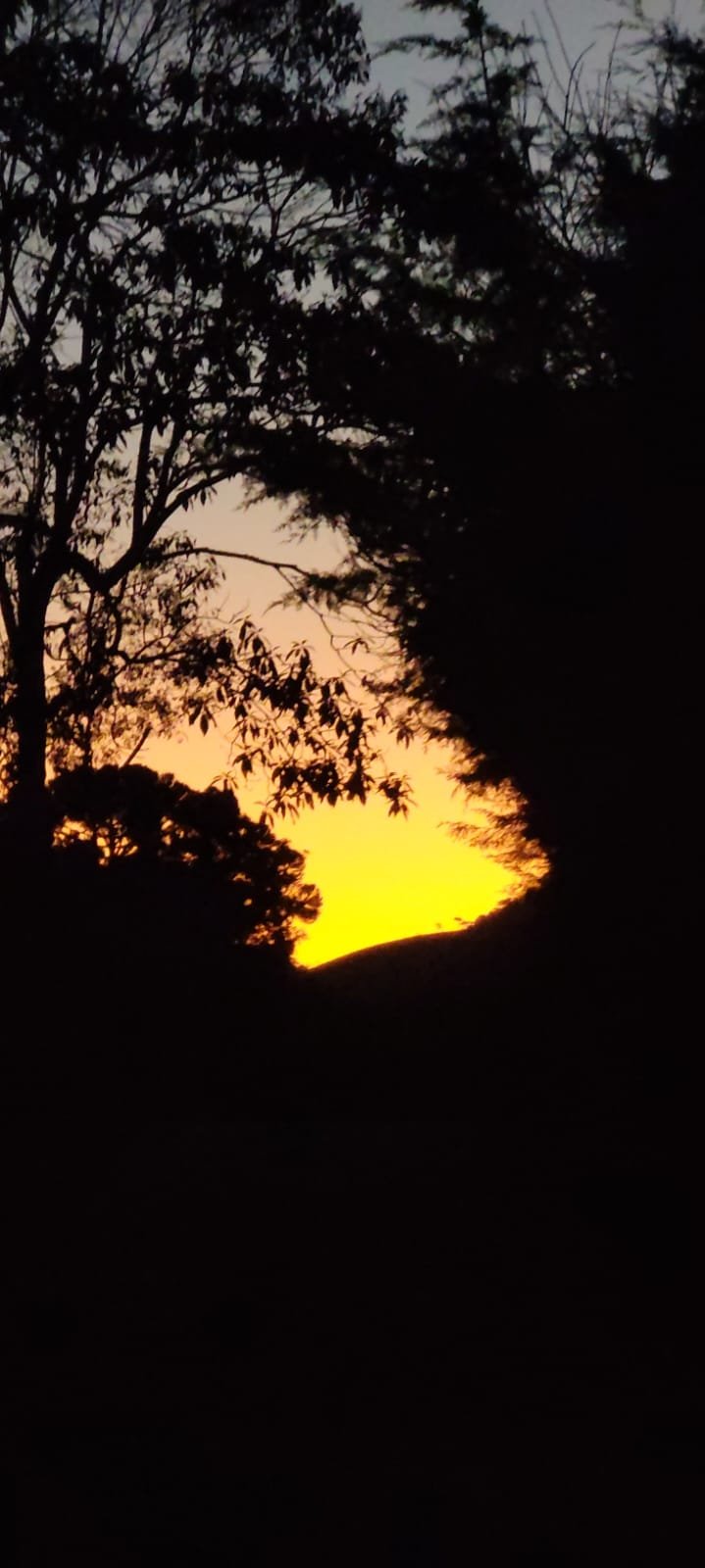 Pôr do sol entre árvores e montanhas em Cunha