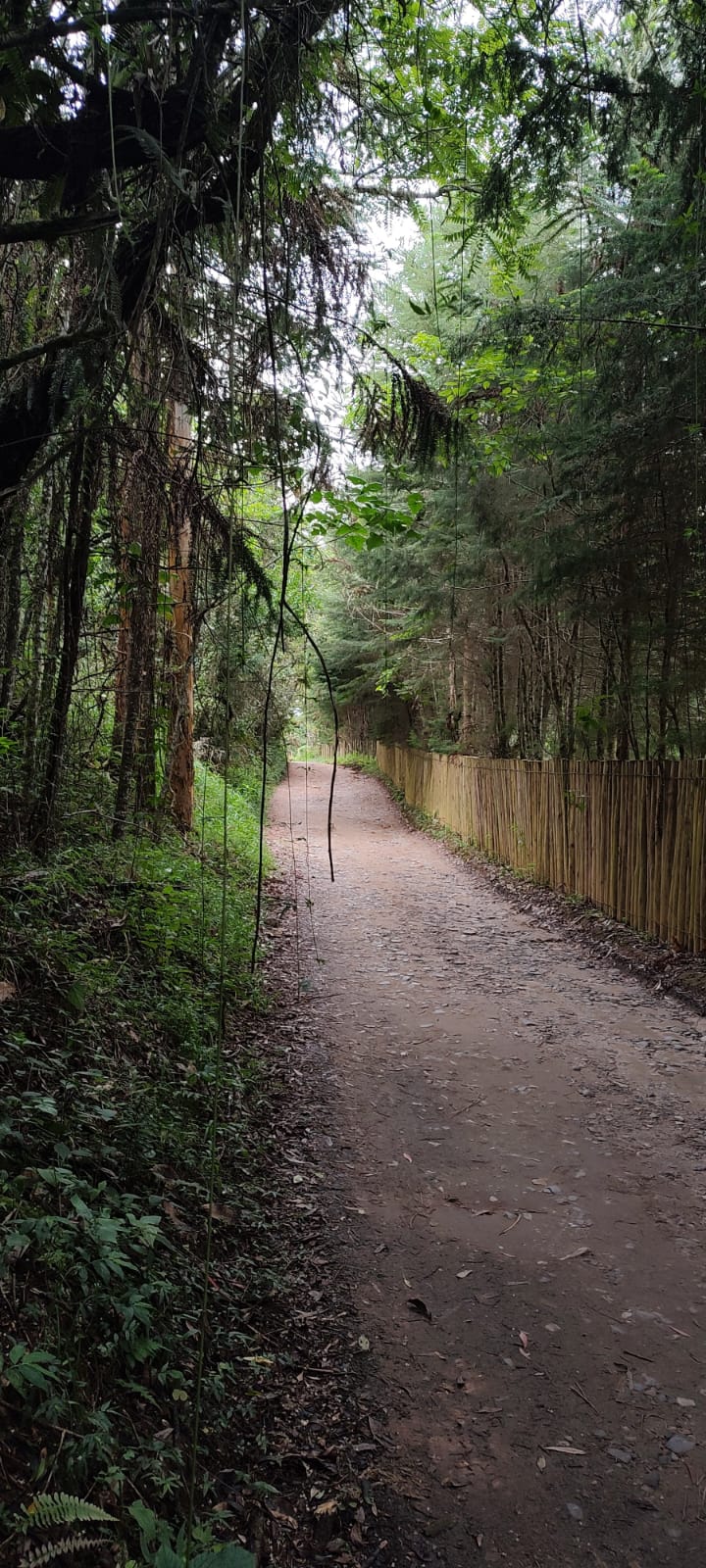 Caminho da Pedra da Macela